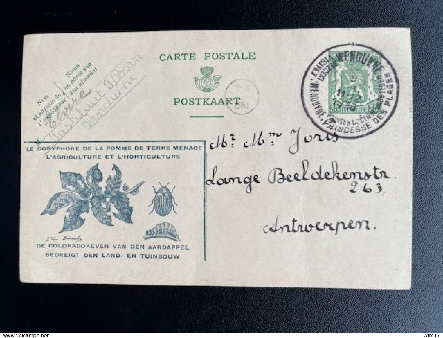 BELGIUM 1936 POSTCARD WENDUYNE WENDUINE TO ANTWERPEN ANVERS 09-09-1936 BELGIE BELGIQUE - Tarjetas 1934-1951