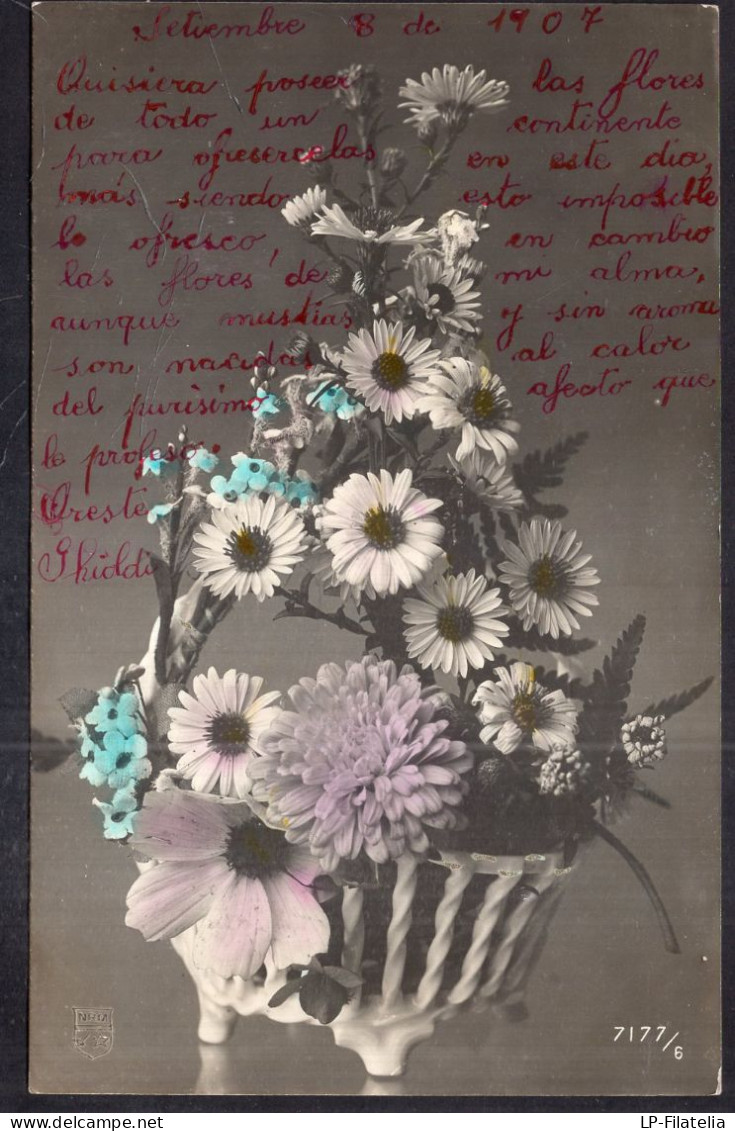 Argentina - 1907 - Flowers - Colorized Photo - Basquet Of Daisies - Flowers