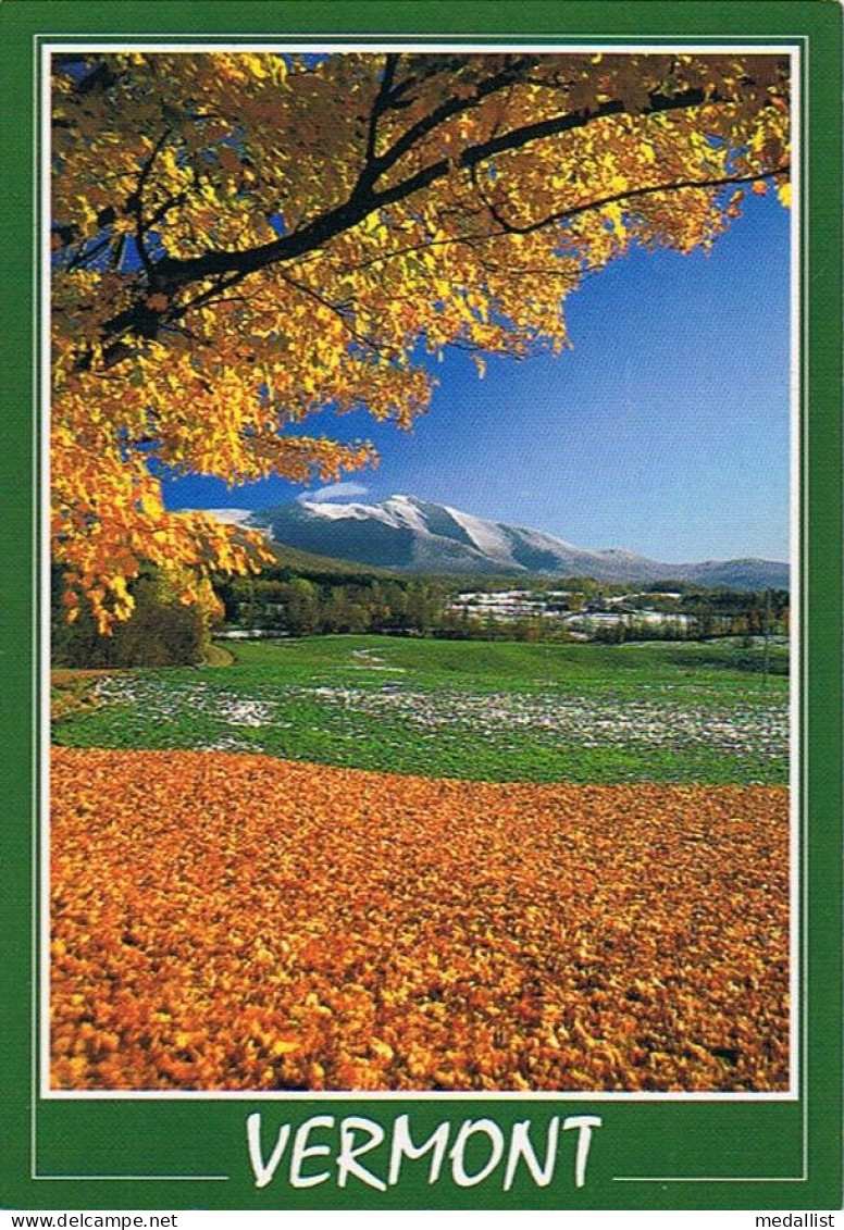 LOT DE 2 CPM..ETATS UNIS..USA..VERMONT..JEFFERSONVILLE..AUTUMN IN VERMONT...4 SCANS - Sonstige & Ohne Zuordnung