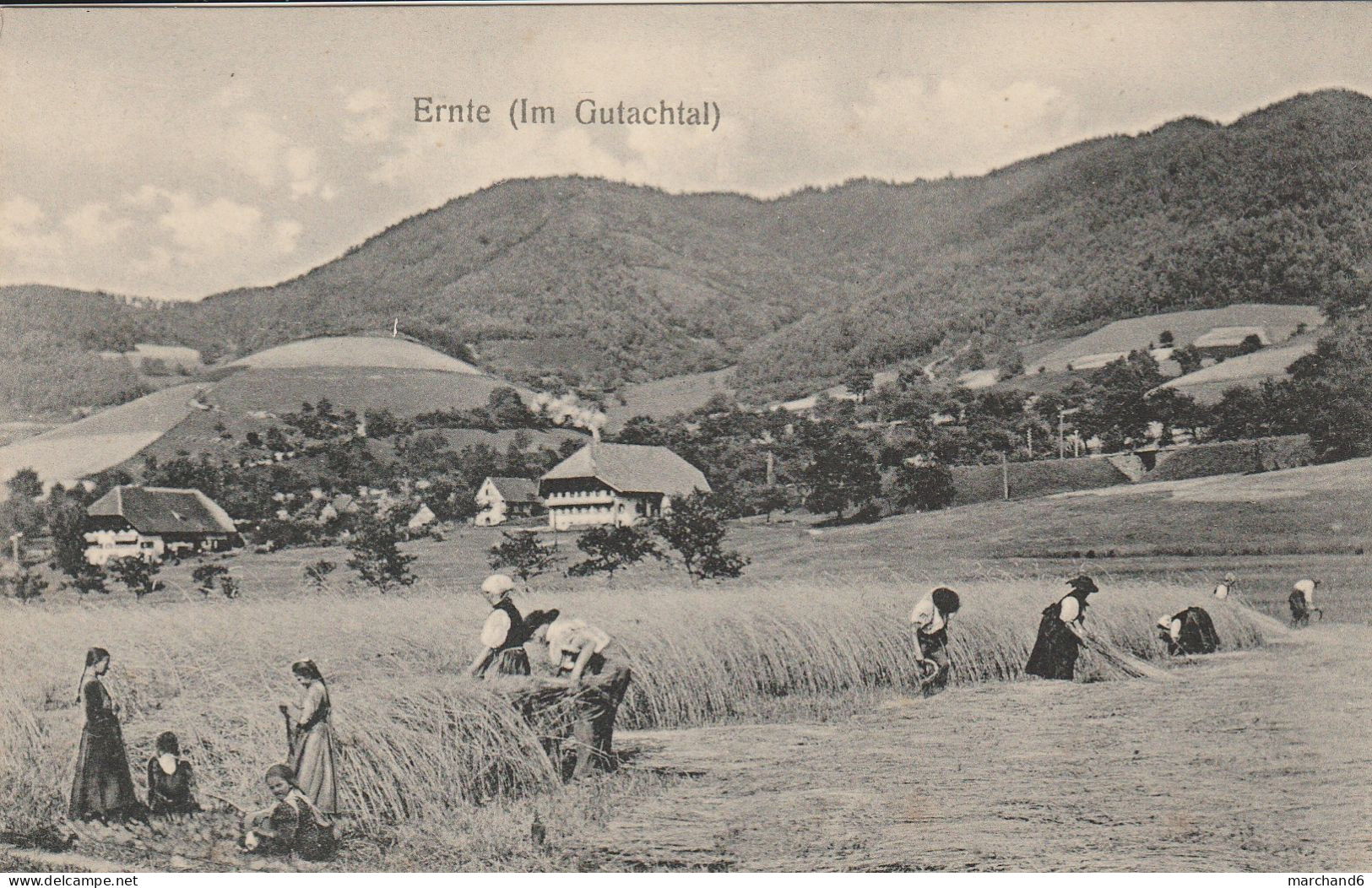 Hornberg Ernte Im Gutachtal édition J G Fleig N°3 - Hornberg