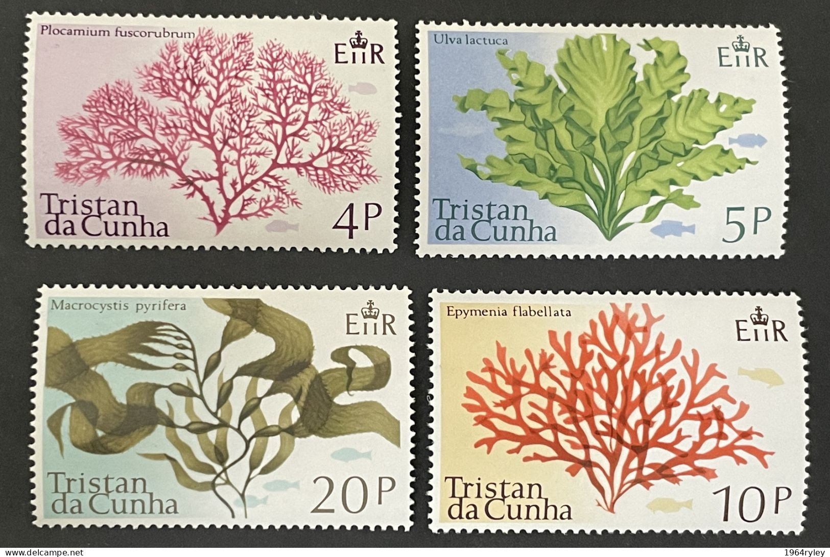 TRISTAN DA CUNHA - MNH** -  1975 - # 197/200 - Tristan Da Cunha