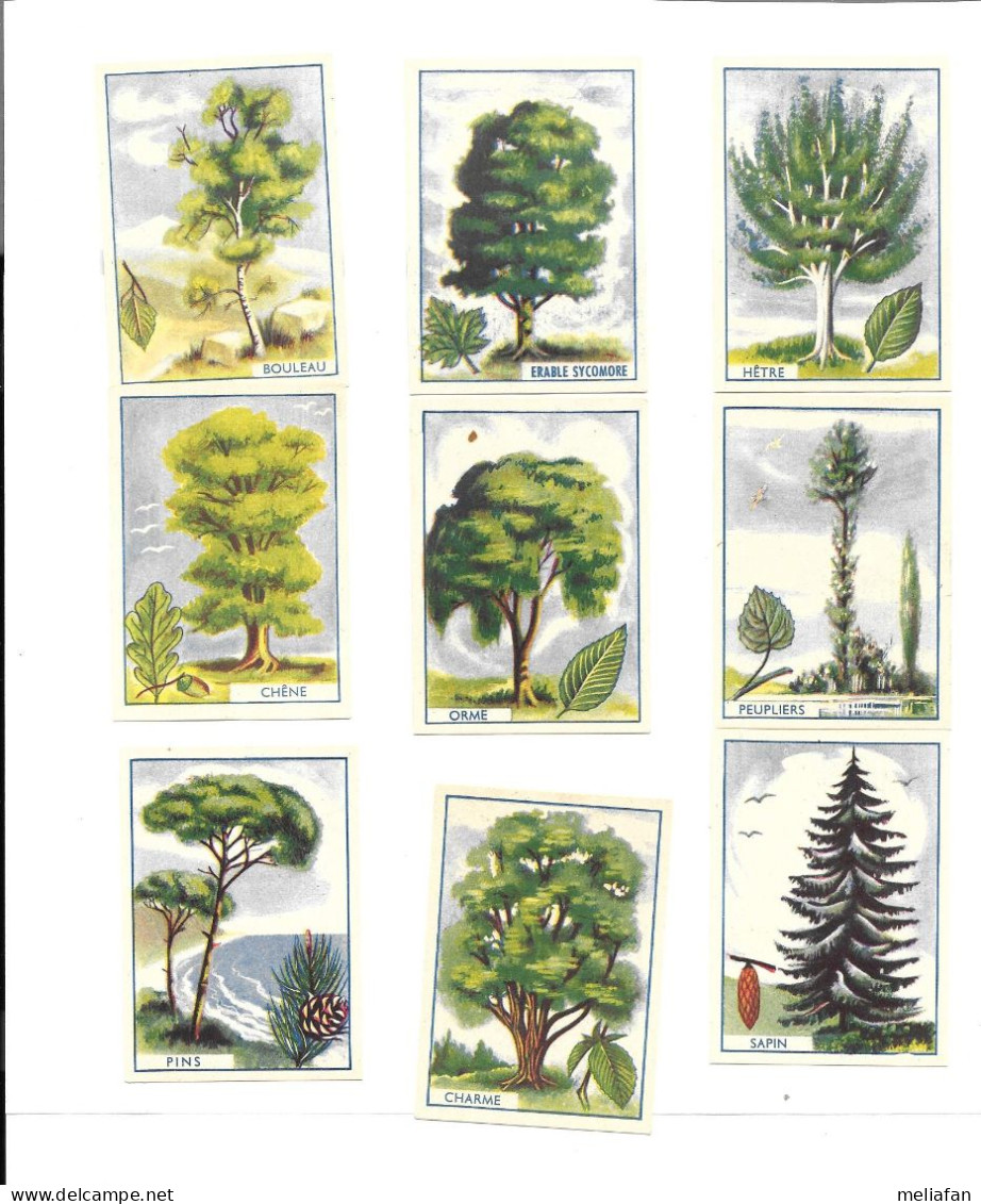 GF1478 - BONS POINTS ENCRE ROBERT - LES ARBRES - Other & Unclassified