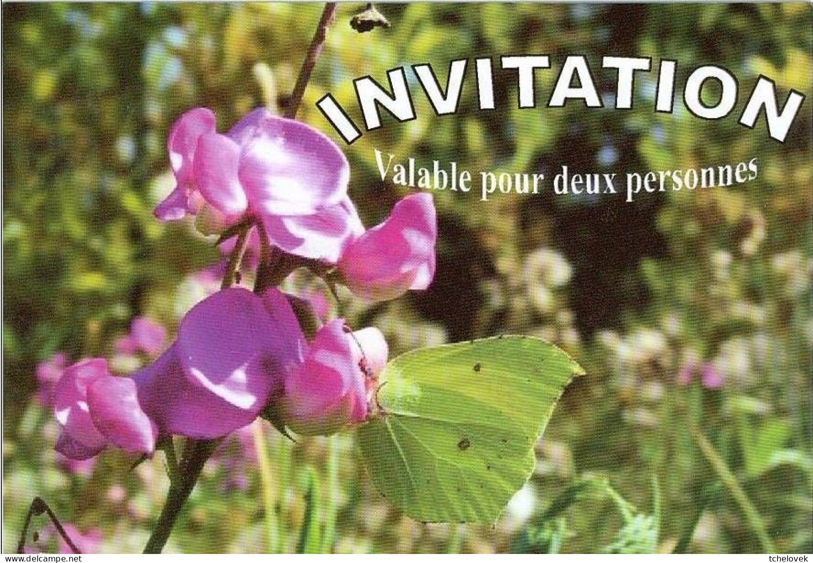 Thèmes. Fleurs. Carte invitation fleurs AIDES & merci & Champs de Tulipes (1) & (2) & Fleurs Van Gogh