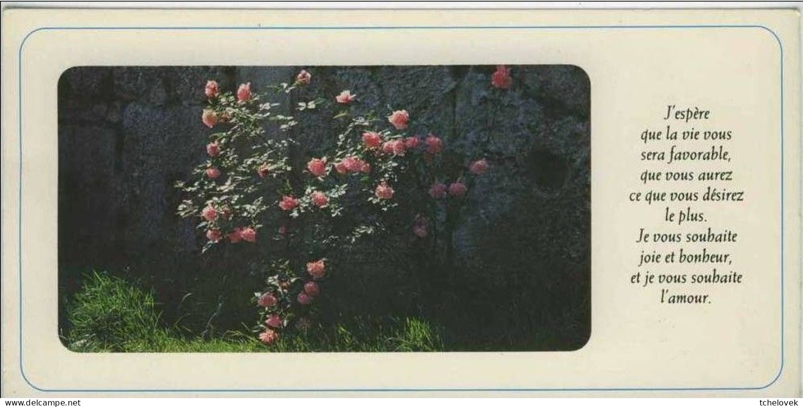 Thèmes. Fleurs. Roses 7 Cartes - Other & Unclassified