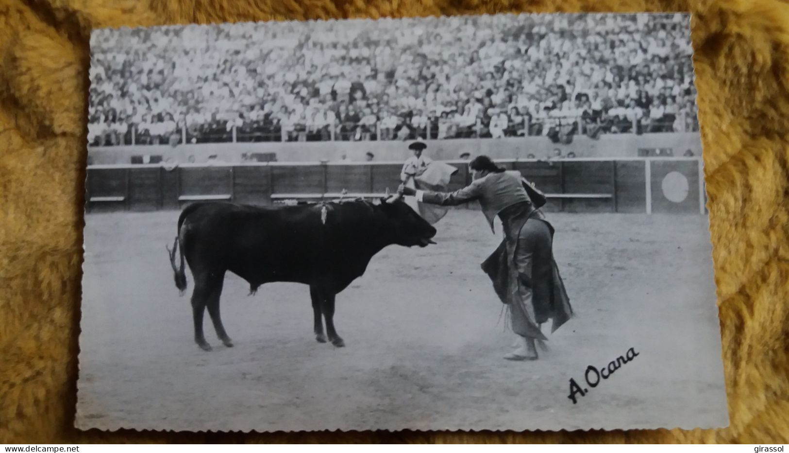 CPSM TOROS Y TOREROS CONCHITA CINTRON UN ADORNO UNE FIORITURE ED OCANA N° 4 1953 CORRIDA ? - Stierkampf