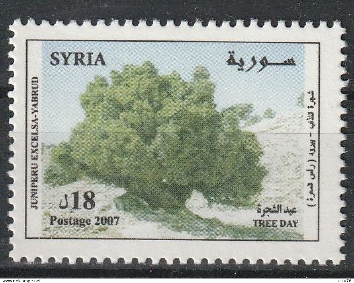 Syria  2007  Tree Day MNH - Bäume