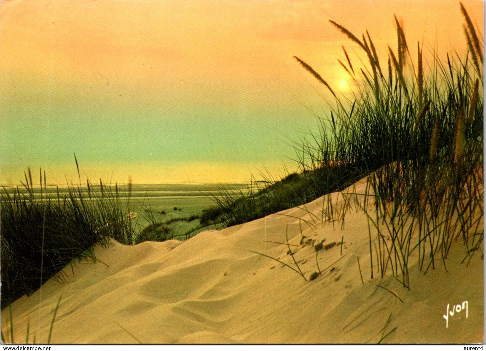 27-4-2024 (4 Y 13) France - Coucher De Soleil Sur Les Dunes - Other & Unclassified