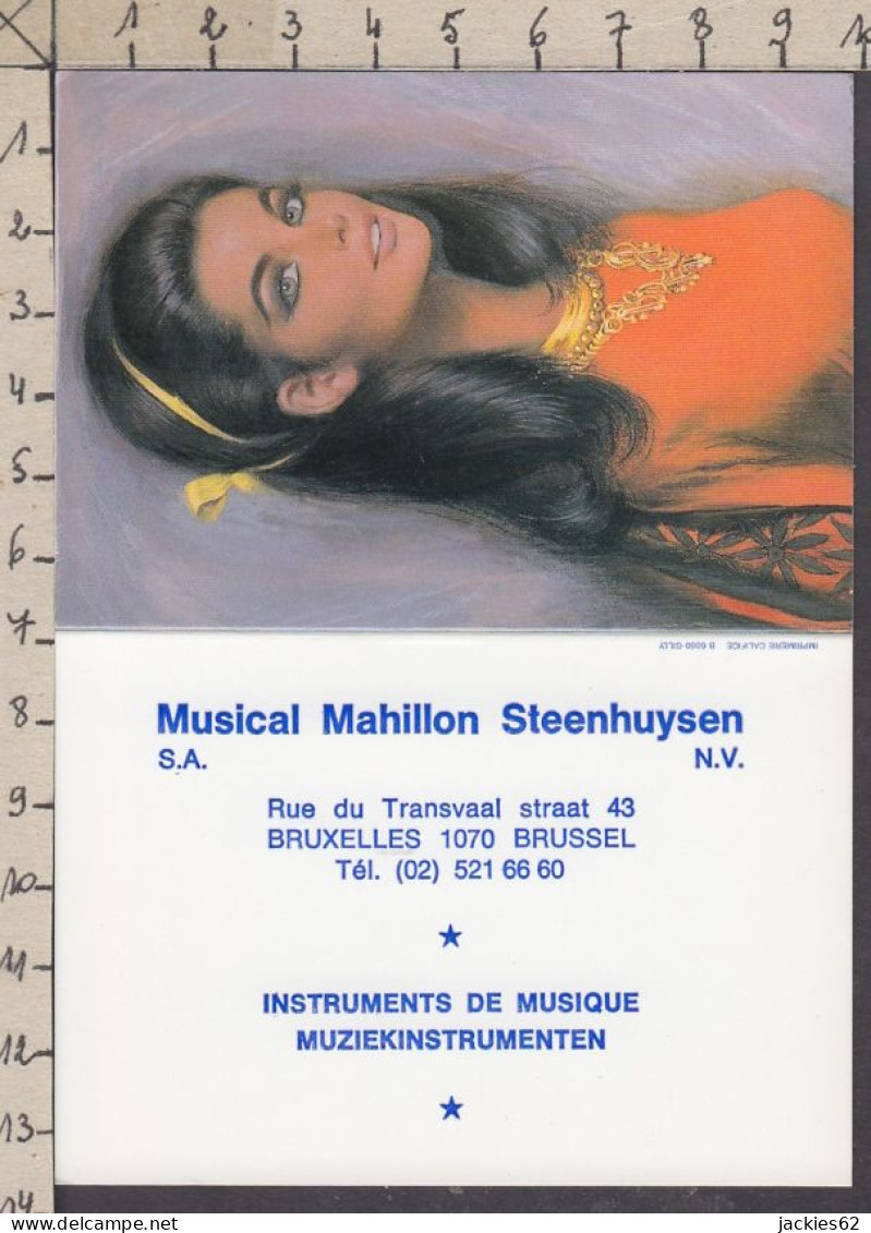 129117/ MUSICAL MAHILLON STEENHUYSEN, Instruments De Musique, Calenfrier De Poche 1993 - Publicidad