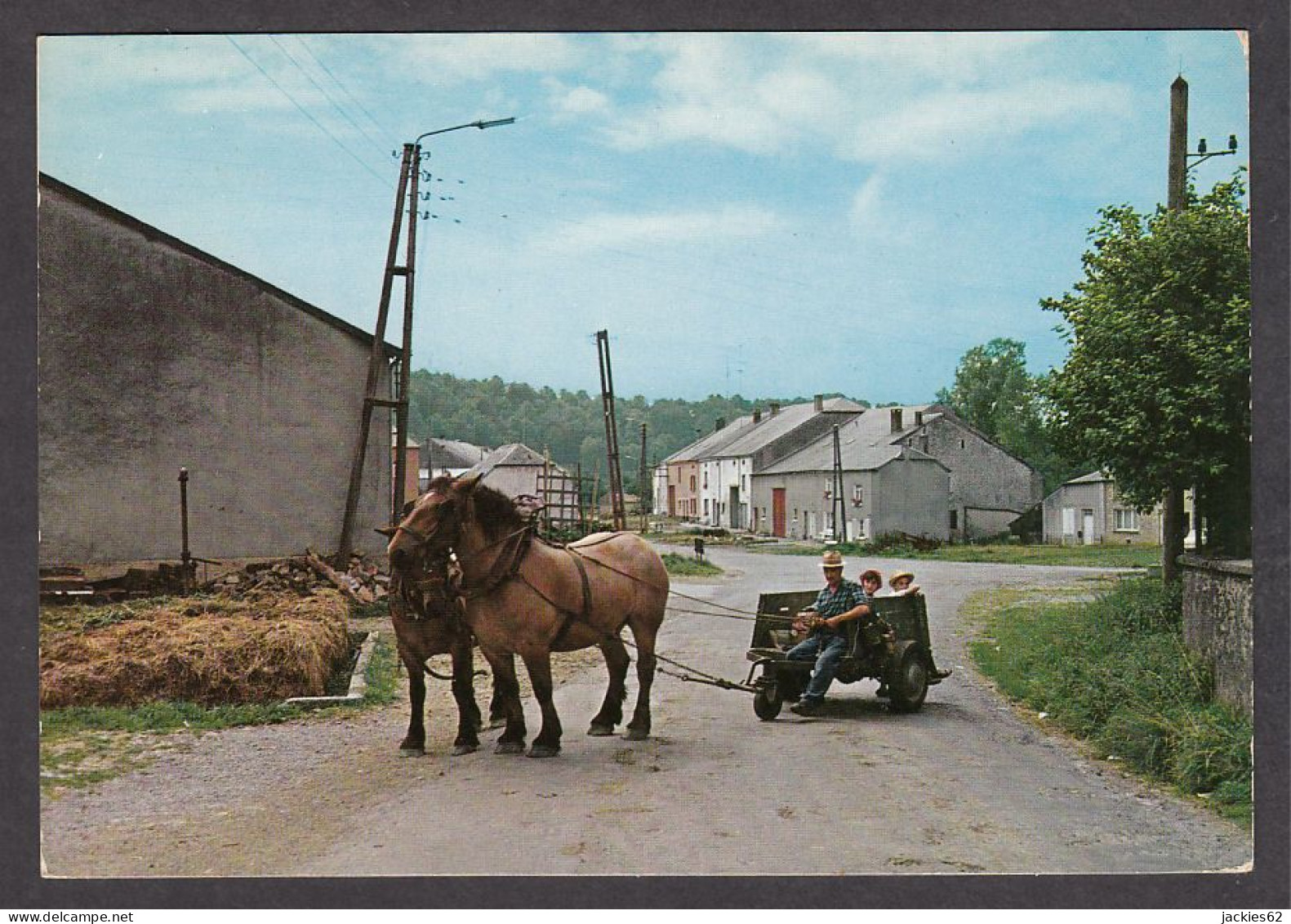 075334/ LAICHE, Chevaux Ardennais - Florenville