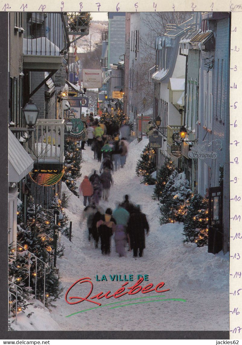 114845GF/ QUÉBEC, *La Petite Rue Champlain* Au Temps De Noël - Québec - La Cité