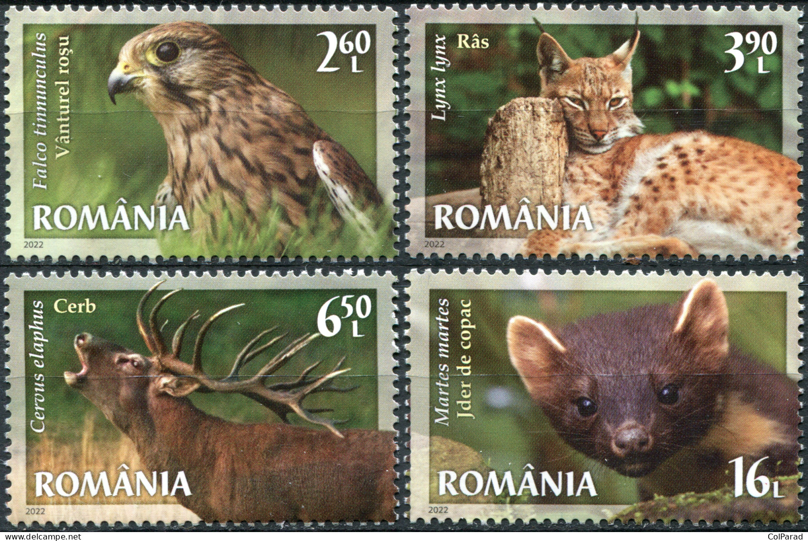 ROMANIA - 2022 - SET OF 4 STAMPS MNH ** - Călimani National Park - Unused Stamps