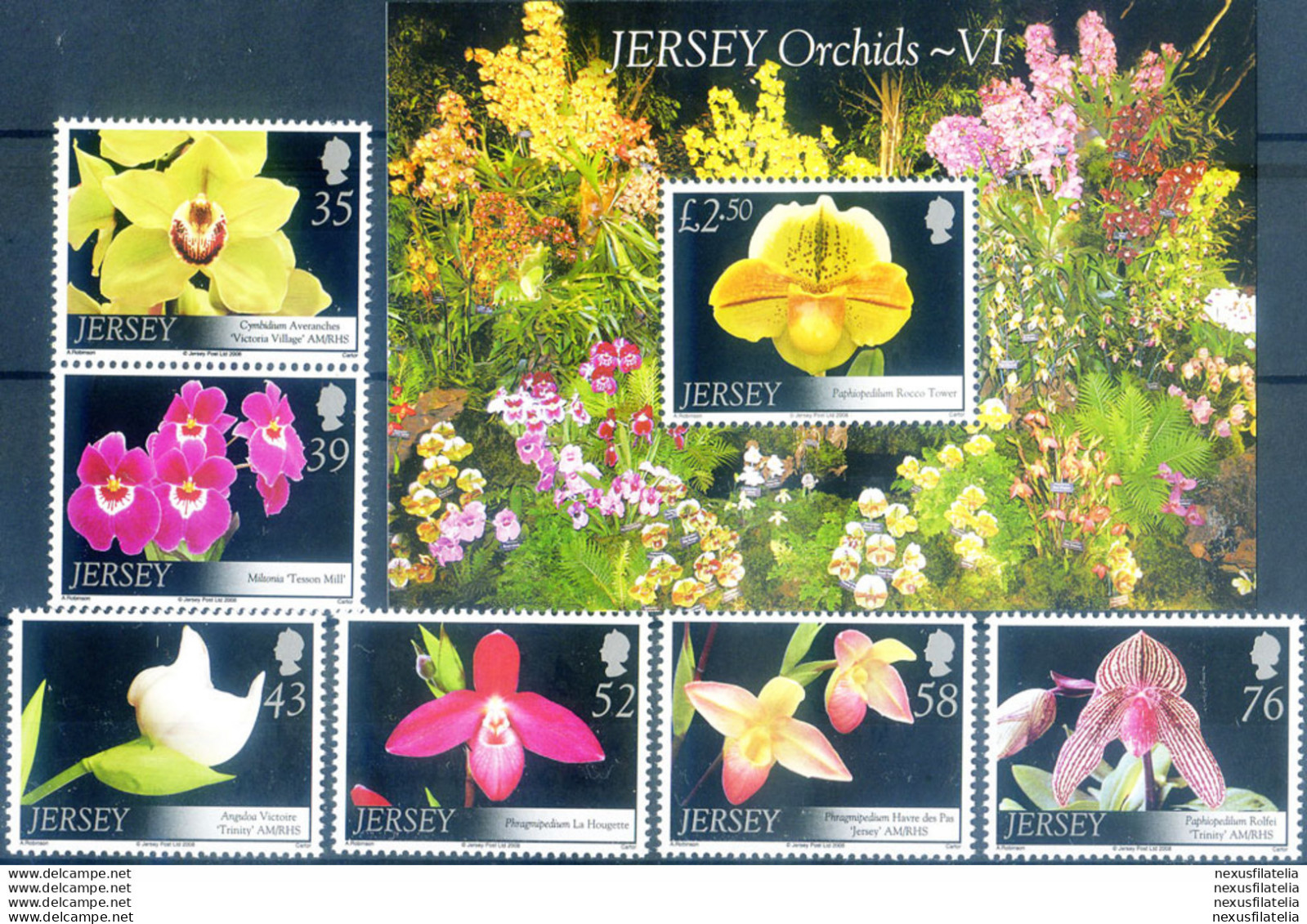 Flora. Orchidee 2008. - Jersey