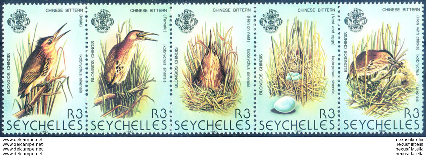 Fauna. Uccelli 1982. - Seychellen (1976-...)