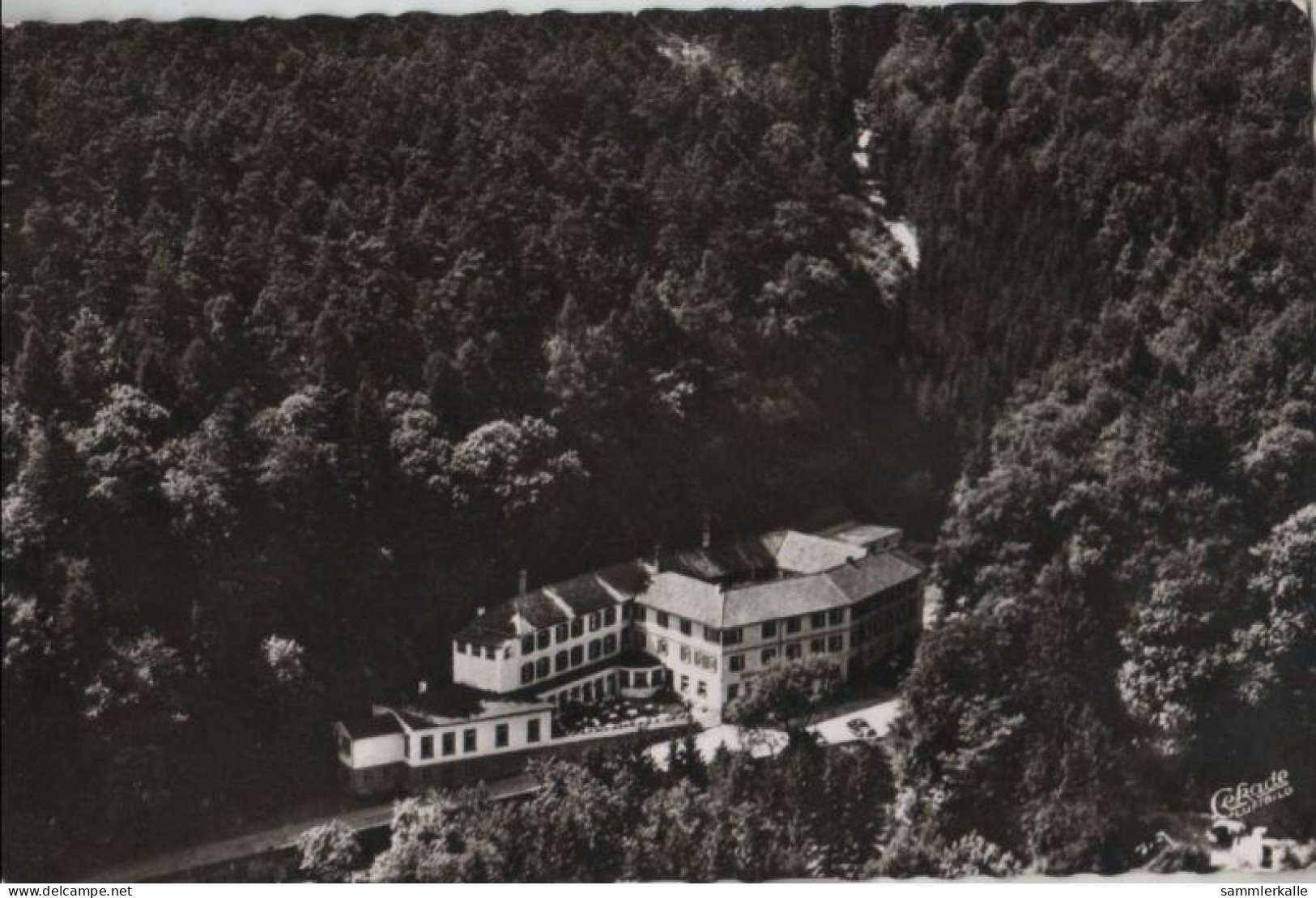 59379 - Bad Bergzabern - Kneipphotel Westenhöfer - 1966 - Bad Bergzabern