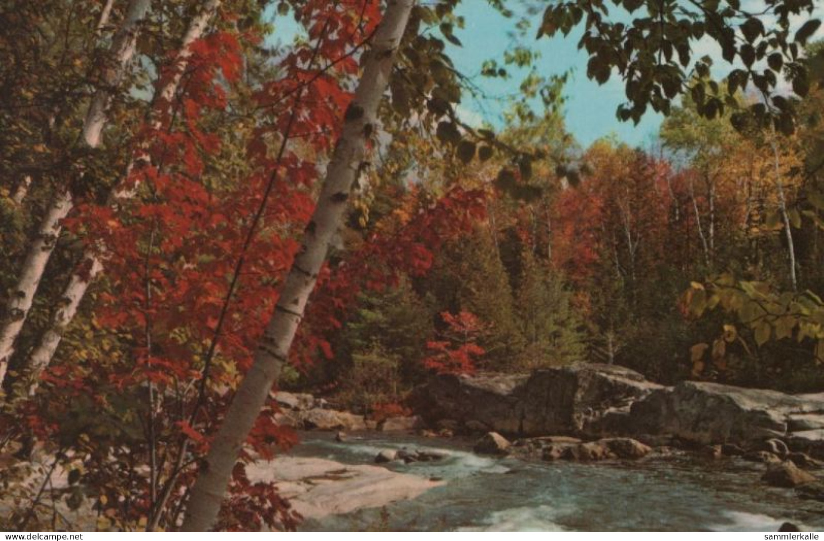 40694 - USA - Arindock - Blue Ridge Falls - 1973 - Adirondack