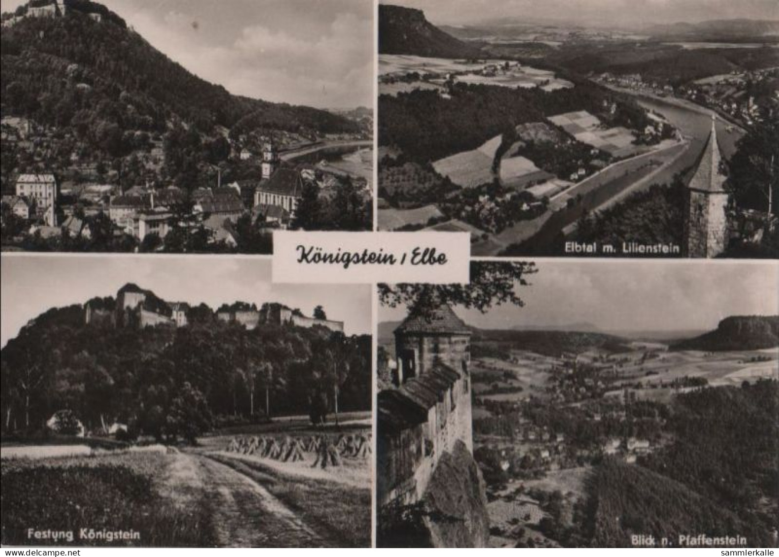 81808 - Königstein - 4 Teilbilder - 1961 - Koenigstein (Saechs. Schw.)