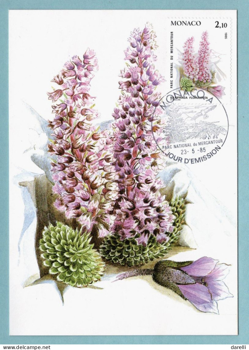 Carte Maximum Monaco 1985 - Plantes Du Parc National Du Mercantour - YT 1462 - Saxifraga Florulenta - Maximum Cards