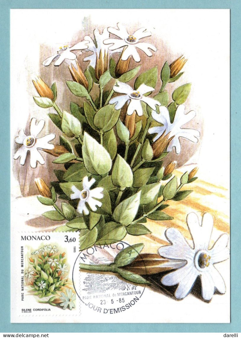 Carte Maximum Monaco 1985 - Plantes Du Parc National Du Mercantour - YT 1465 - Silene Cordifolia - Cartoline Maximum