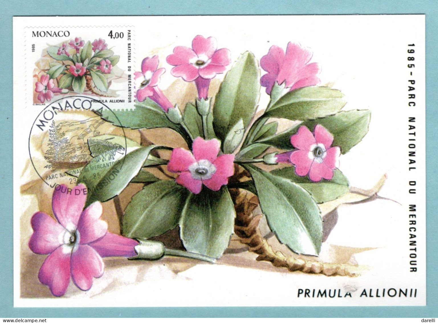 Carte Maximum Monaco 1985 - Plantes Du Parc National Du Mercantour - YT 1466 - Primula Allionii - Cartoline Maximum