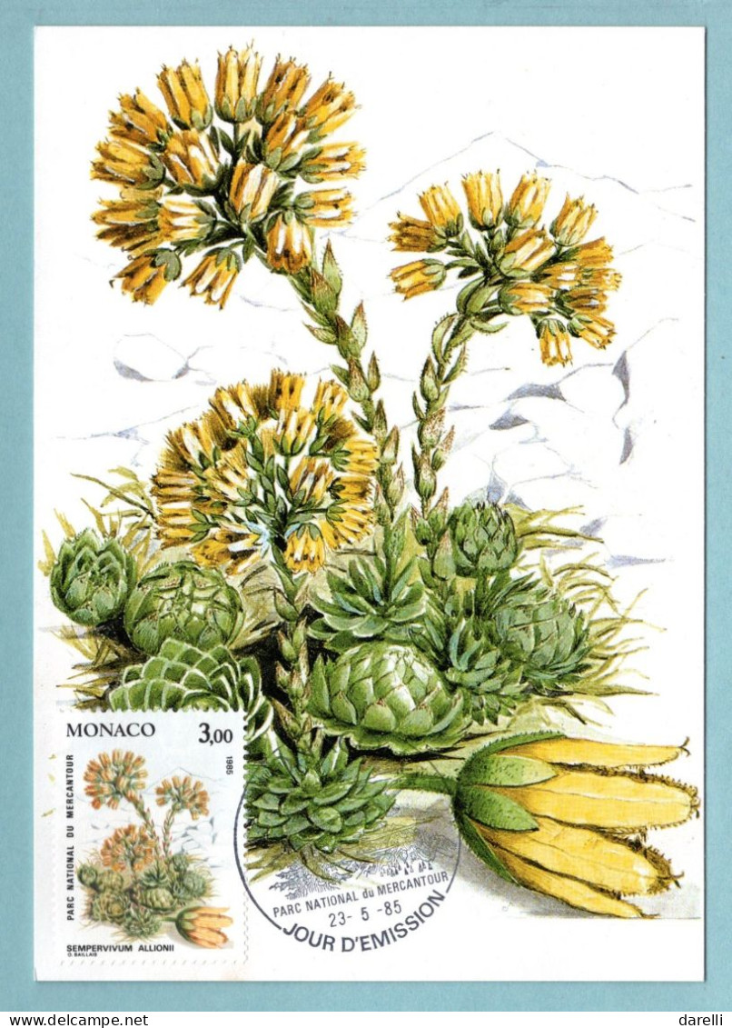 Carte Maximum Monaco 1985 - Plantes Du Parc National Du Mercantour - YT 1464 - Sempervivum Allionii - Cartes-Maximum (CM)