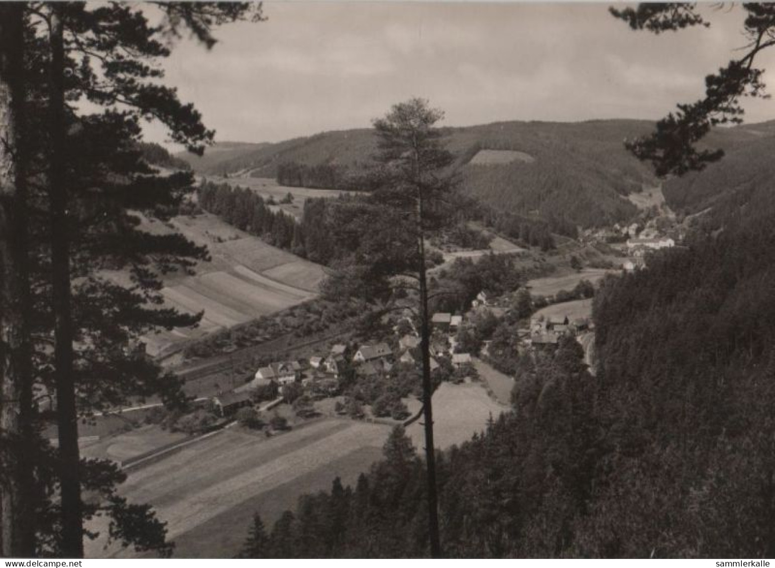 51393 - Lasbach, Obstfelderschmiede - 1966 - Saalfeld
