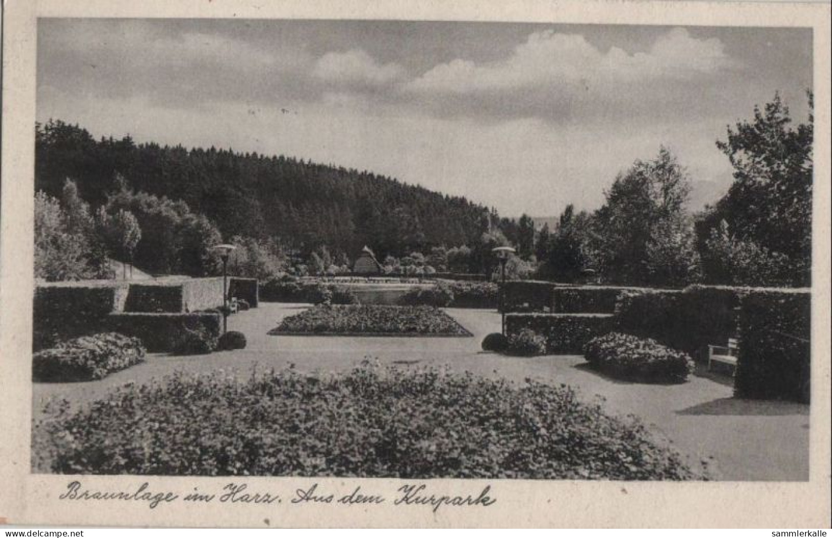 111836 - Braunlage - Aus Dem Kurpark - Braunlage