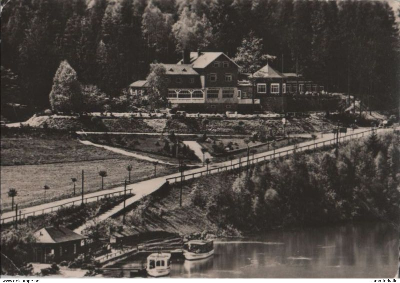 81232 - Zschopau - Waldhaus LauenhainTalsperre - 1960 - Zschopau