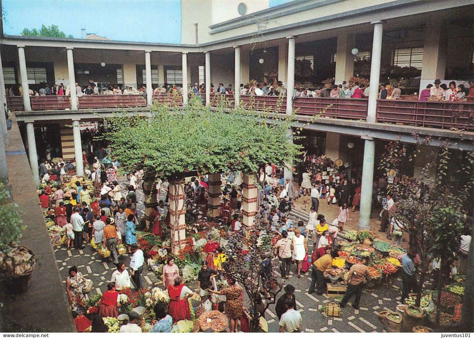 CPSM Madeira-Mercado Do Funchal    L2789 - Madeira