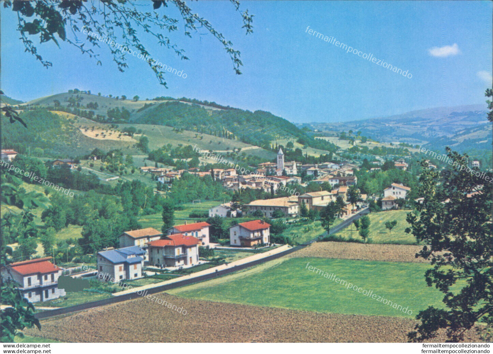 Ab494 Cartolina Pievetorina Panorama Provincia Di Macerata - Macerata