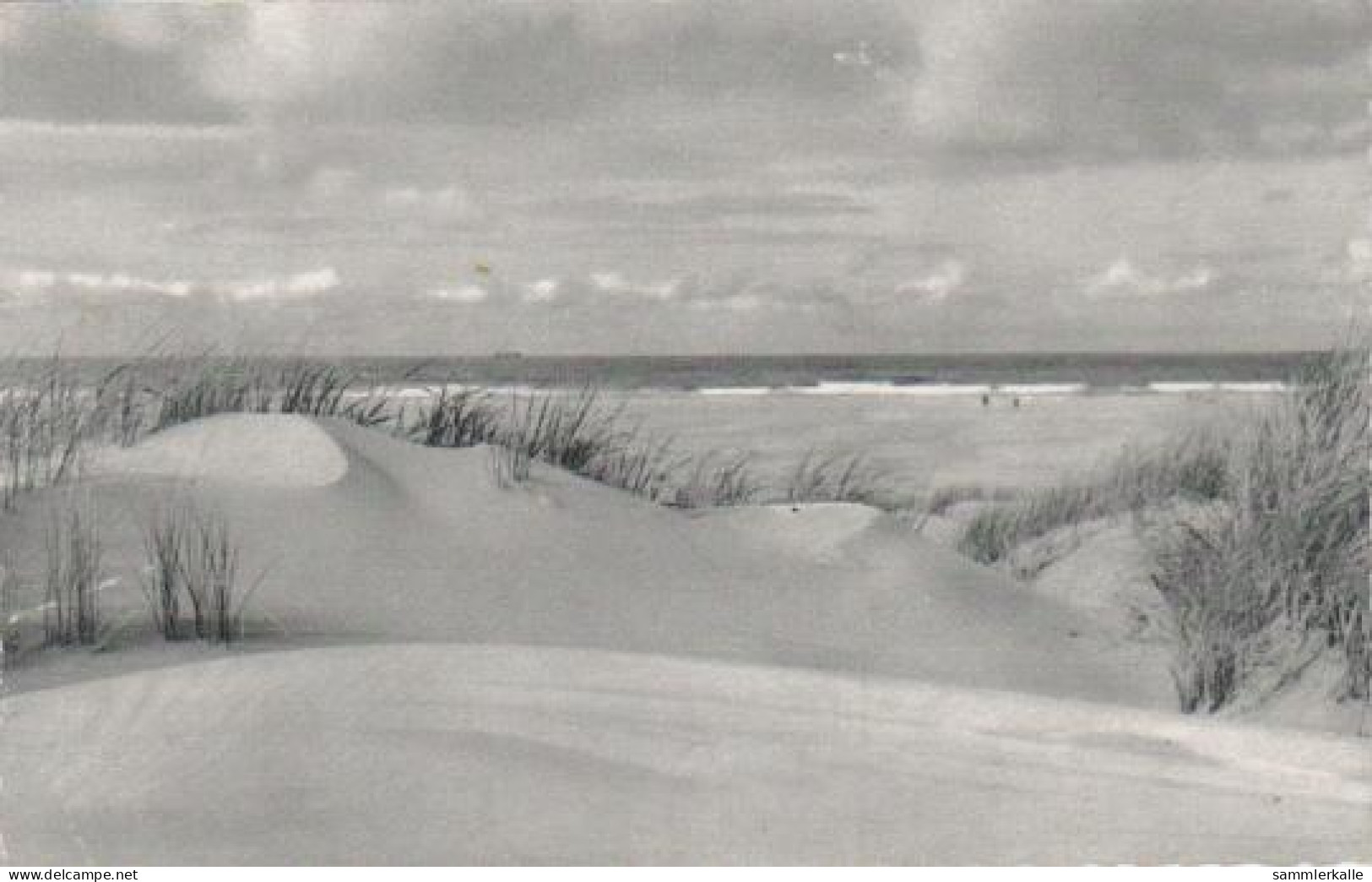 2789 - Norderney - Dünen - Ca. 1965 - Norderney