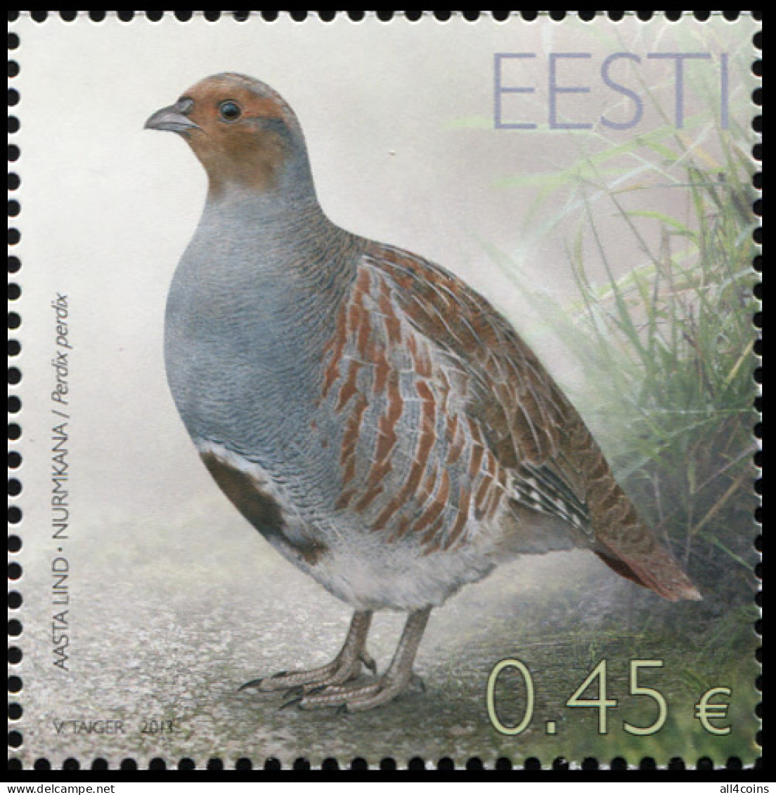 Estonia 2013. Gray Partridge (MNH OG) Stamp - Estonia