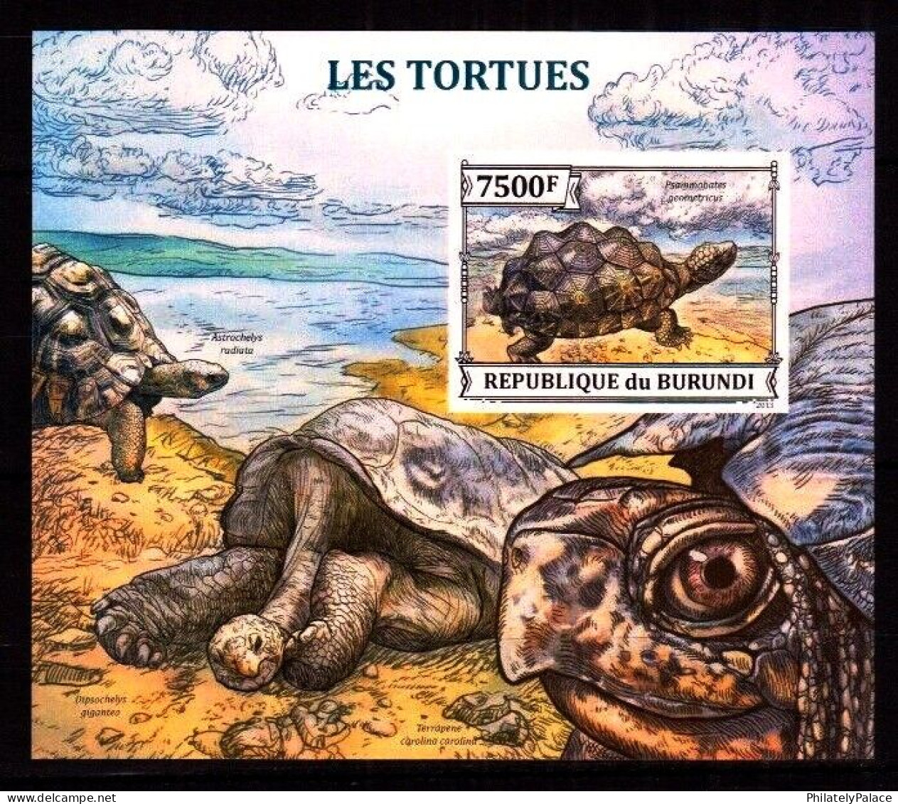 Spiny Turtles, Reptiles, Marine Burundi 2013 Reptiles,Turtles Turtle Tortoise Mint Imperf MNH (**) - Neufs