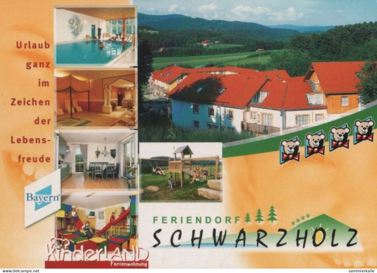 90766 - Viechtach - Feriendorf Schwarzholz - Ca. 2000 - Regen