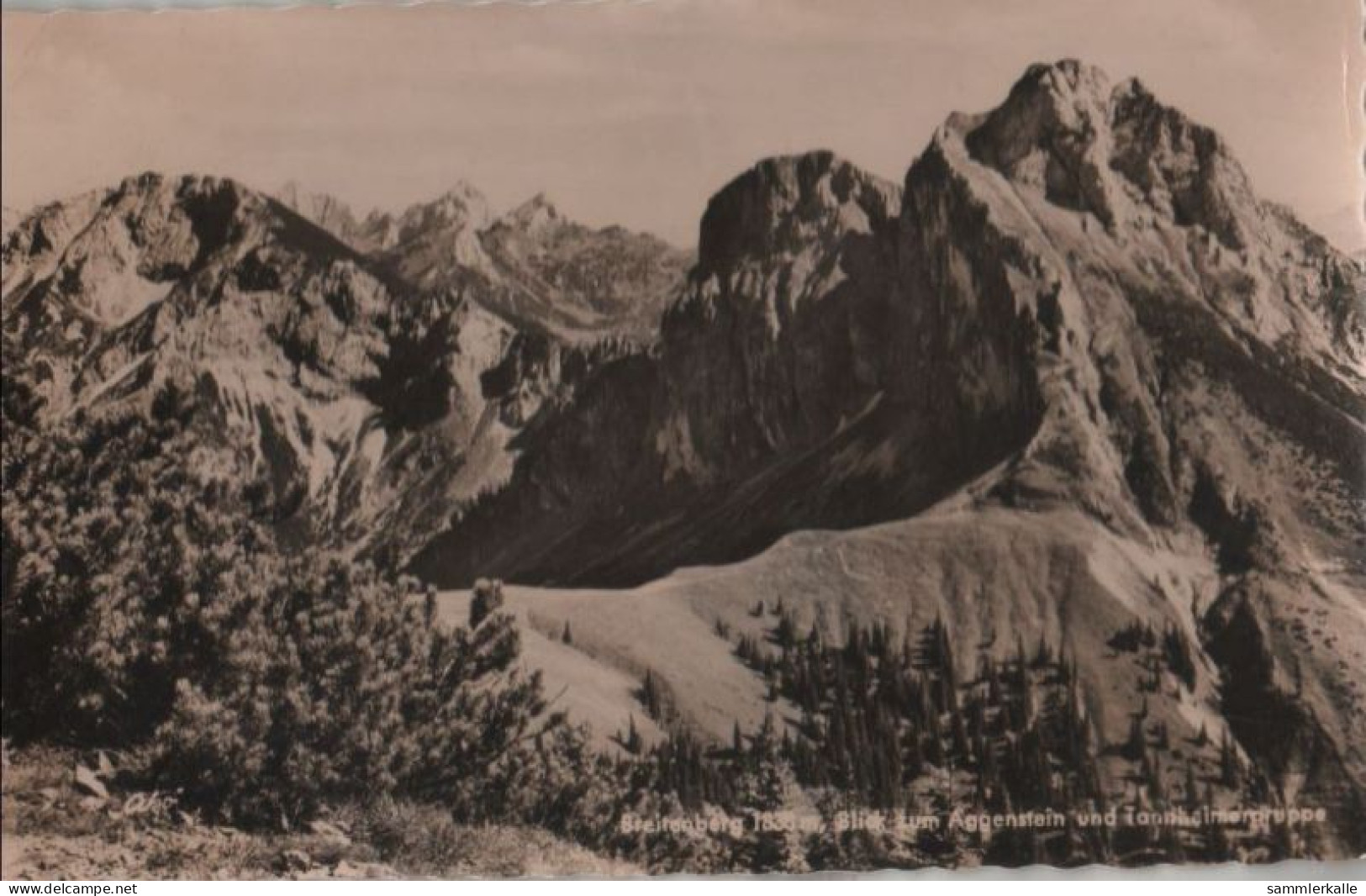 59143 - Pfronten - Breitenberg, Blick Zum Aggenstein - Ca. 1960 - Pfronten