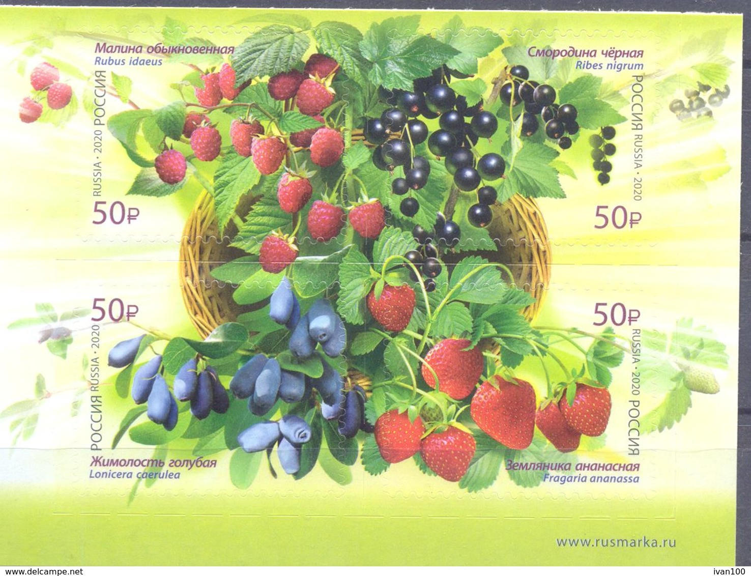2020. Russia, Berries Of Russia, 4v Se-tenant Self-adhesive, Mint/** - Neufs