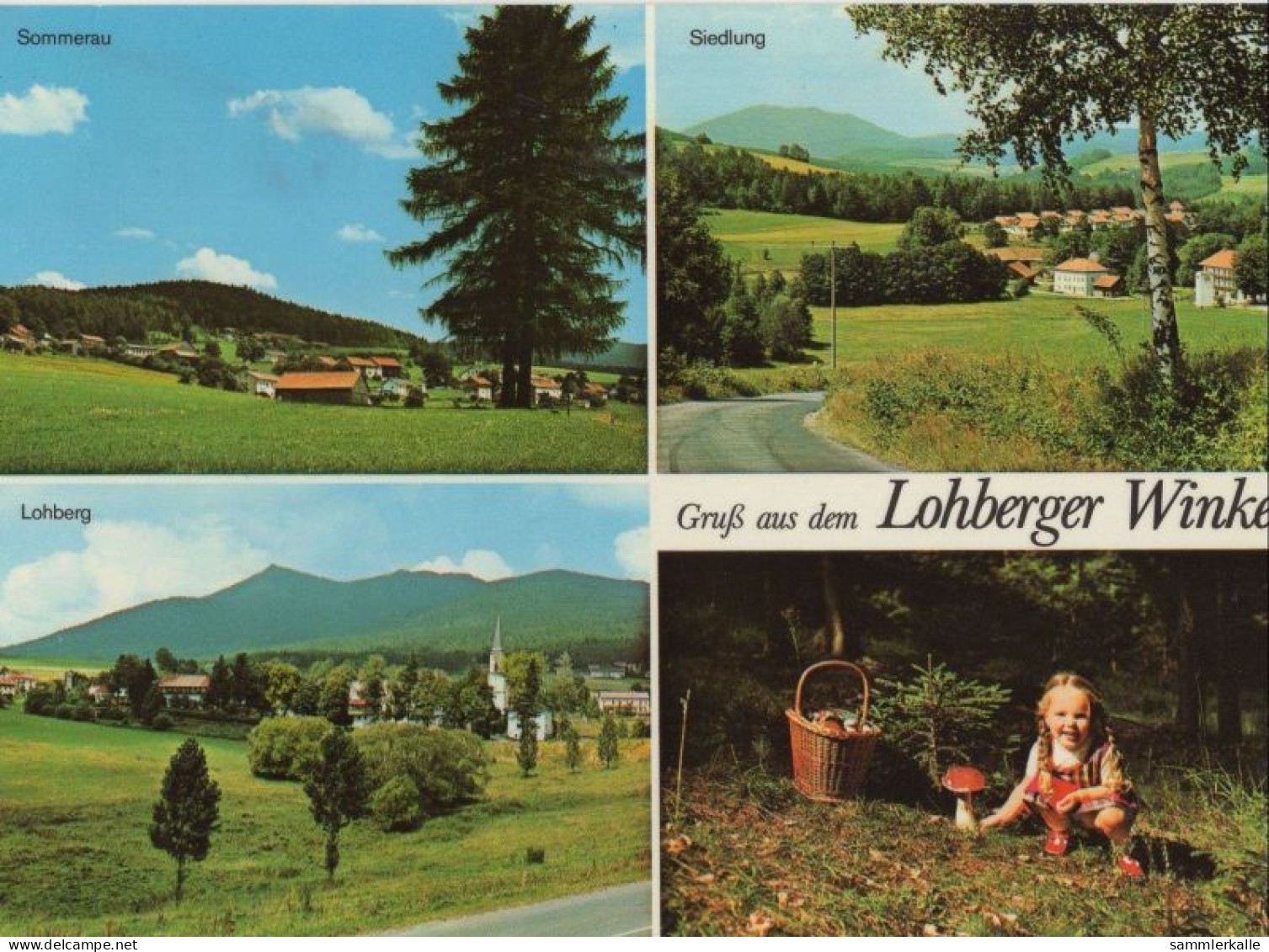135788 - Lohberg - Lohberger Winkel - Cham