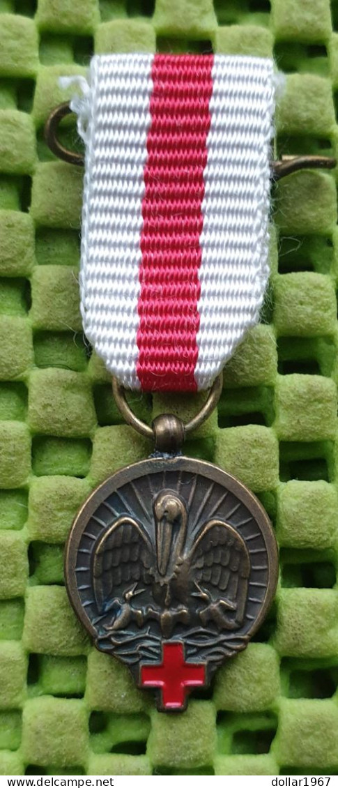 Medaile Rode Kruis Mini Met Dasspeld En Speldje,W.v.Veluw.bv Zeist  . -  Original Foto  !!  Medallion  Dutch - Other & Unclassified