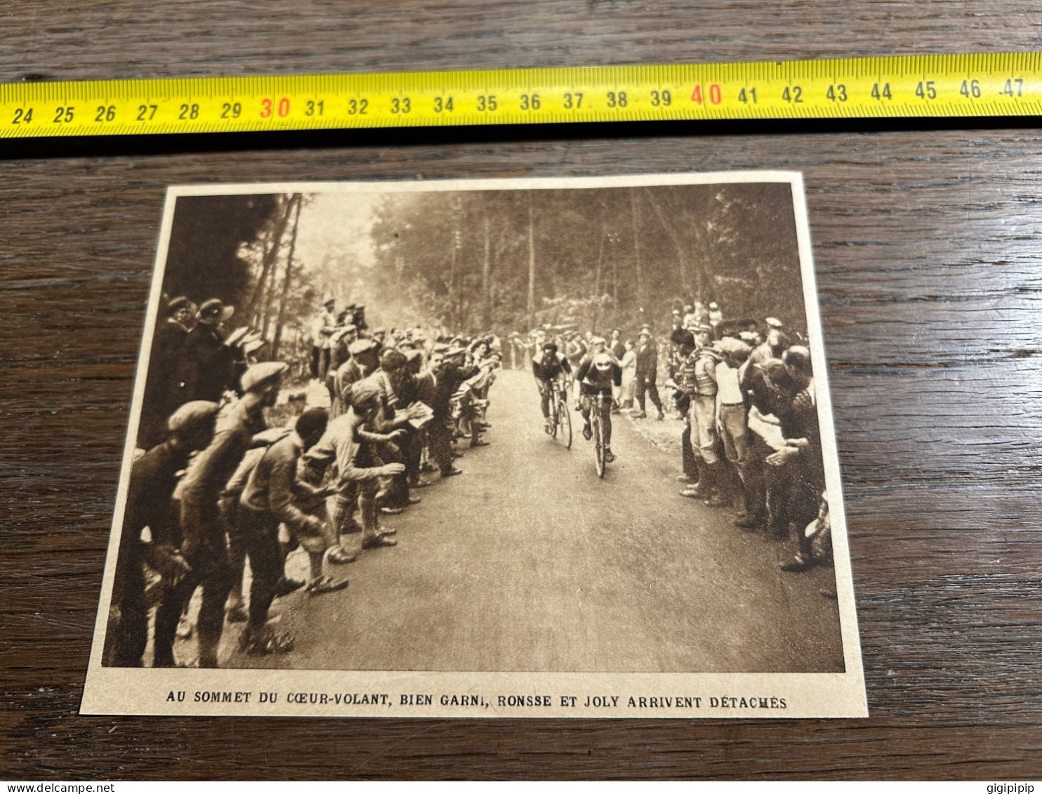 1931 MDS AU SOMMET DU CŒUR-VOLANT, BIEN GARNI, RONSSE ET JOLY ARRIVENT DETACHES - Verzamelingen