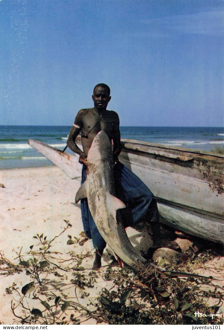 CPSM Afrique En Couleurs-Pêcheurs De Requins   L2791 - Unclassified