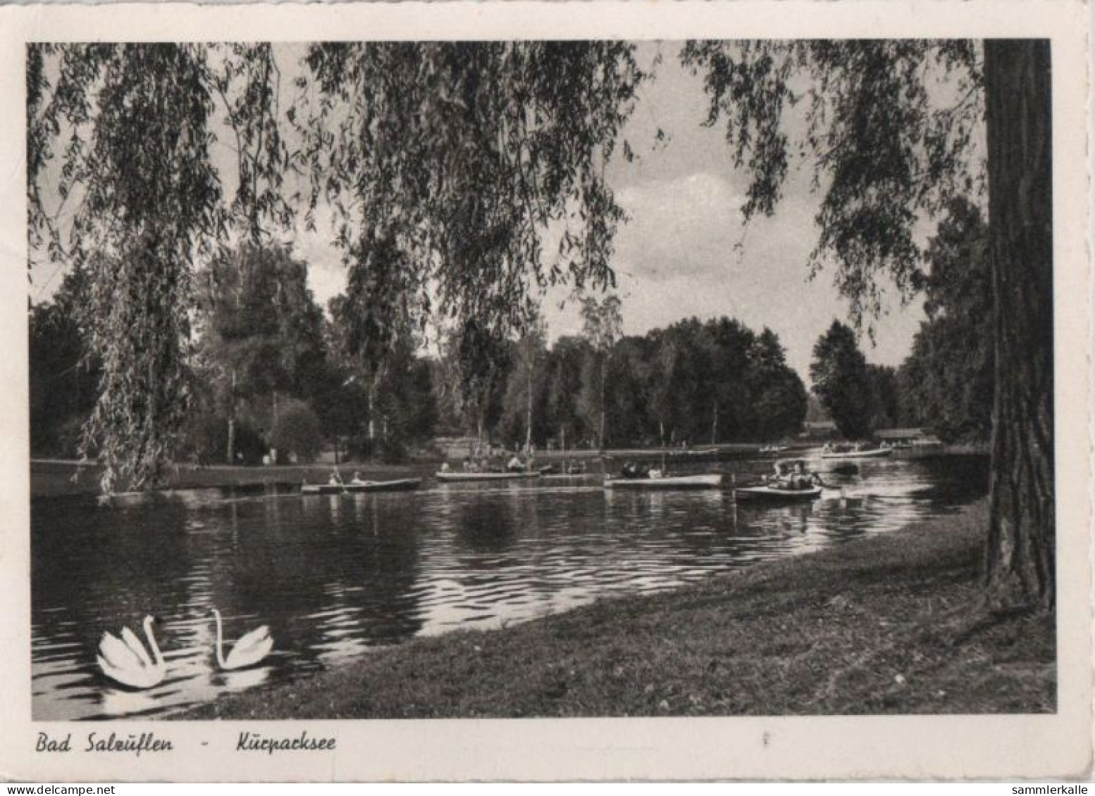 52521 - Bad Salzuflen - Kurparksee - 1955 - Bad Salzuflen