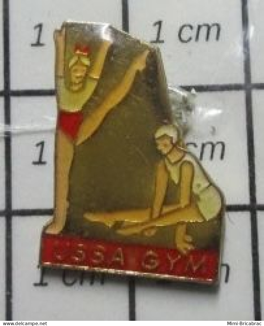 1718B Pin's Pins / Beau Et Rare / SPORTS / USSA GYMNASTIQUE FEMININE - Ginnastica