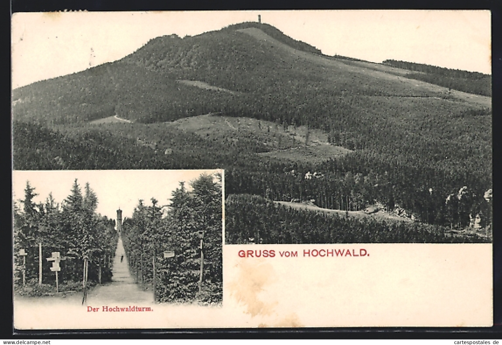 AK Oybin, Panoramablick, Der Hochwaldturm  - Oybin