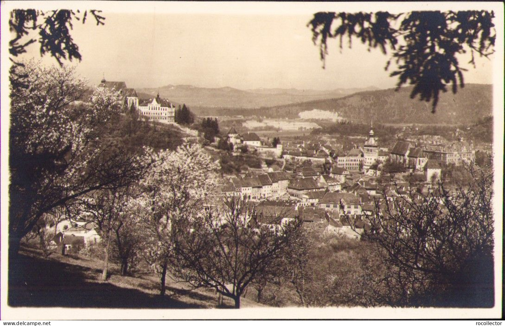 Schässburg Segesvar Sighișoara Studio Albert Schotsch Postcard CP368 - Roemenië