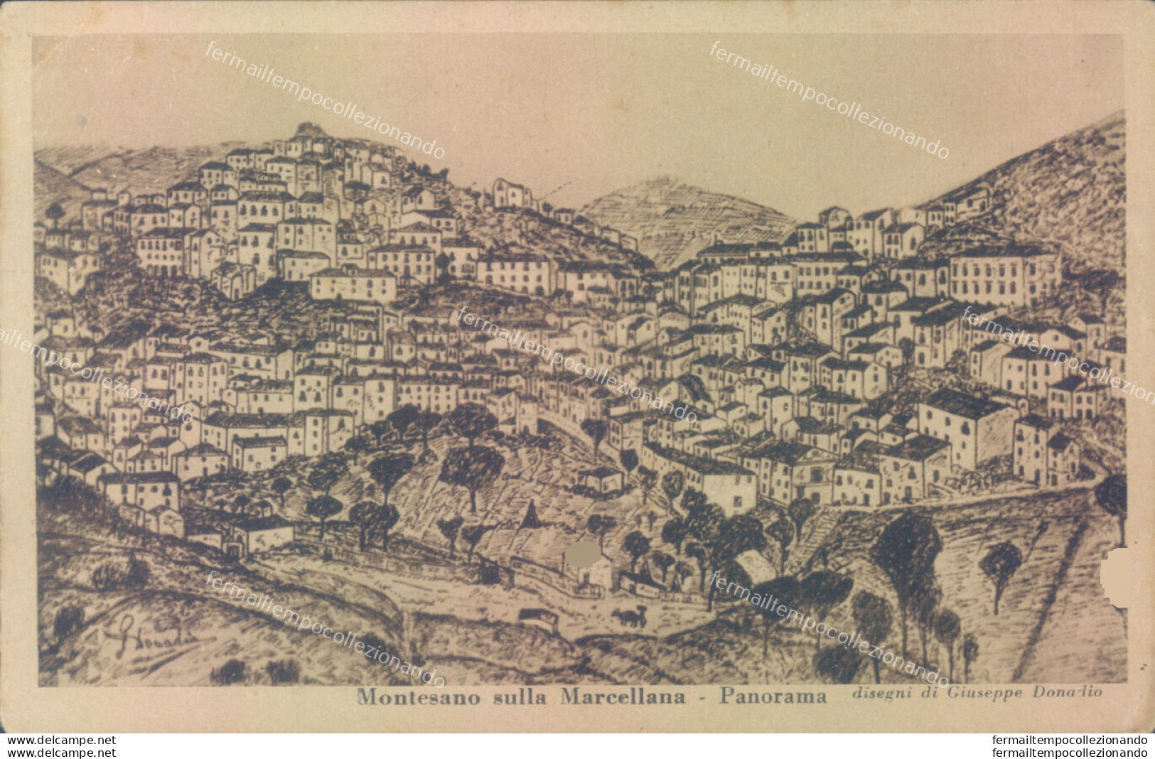 Ab310 Cartolina Montesano Sulla Marcellana Panorama Provincia Di Salerno - Salerno