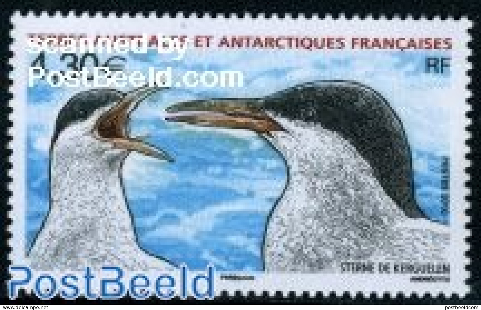 French Antarctic Territory 2010 Kerguelen Tern 1v, Mint NH, Nature - Birds - Unused Stamps