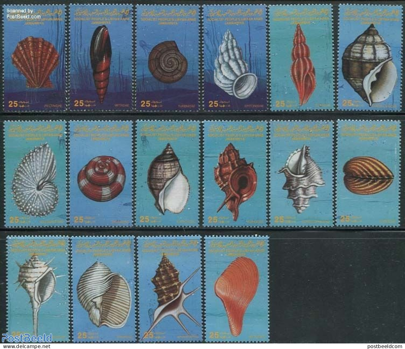 Libya Kingdom 1985 Shells 16v, Mint NH, Nature - Shells & Crustaceans - Vie Marine