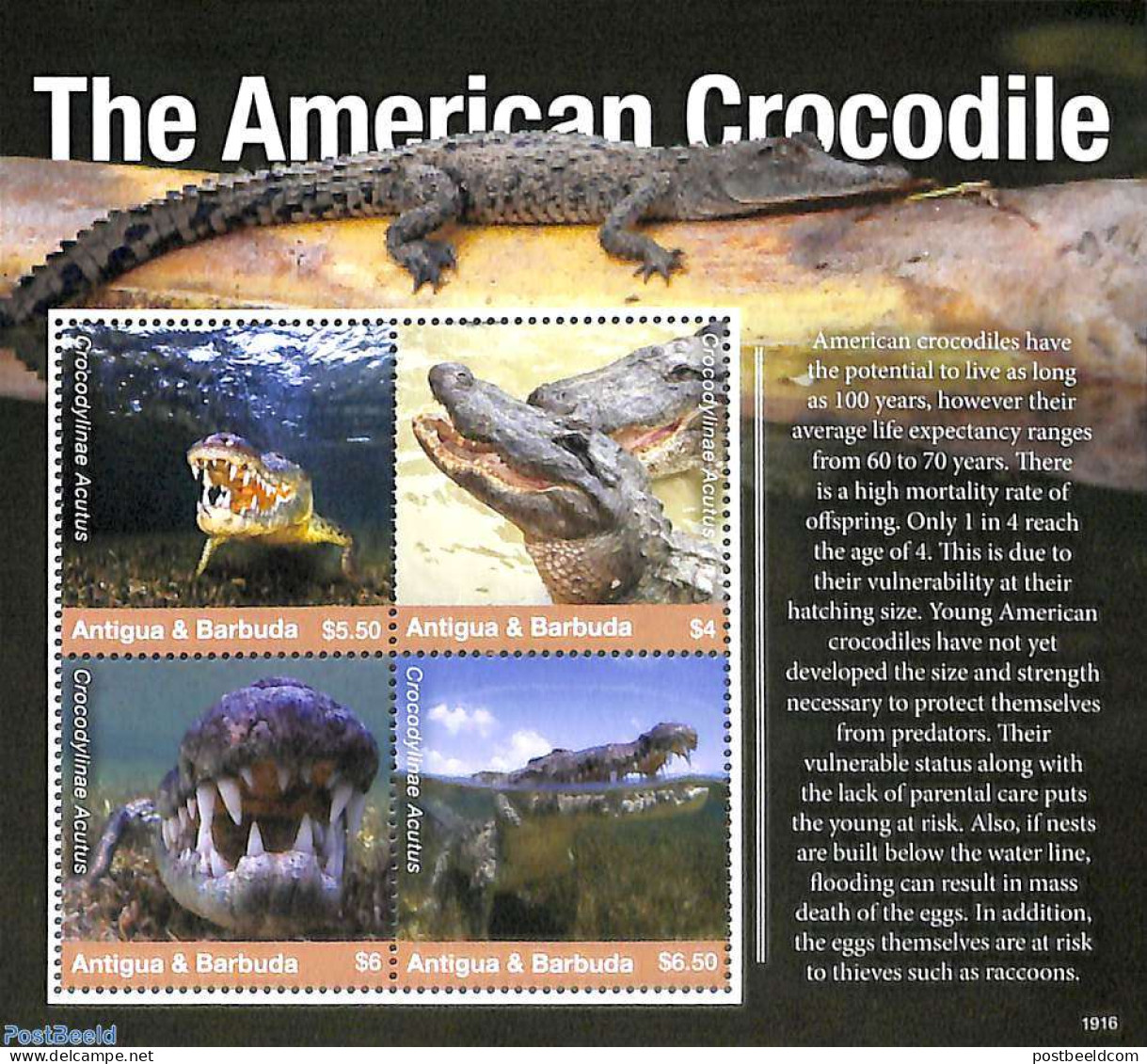 Antigua & Barbuda 2019 The American Crocodile 4v M/s, Mint NH, Nature - Crocodiles - Reptiles - Antigua And Barbuda (1981-...)