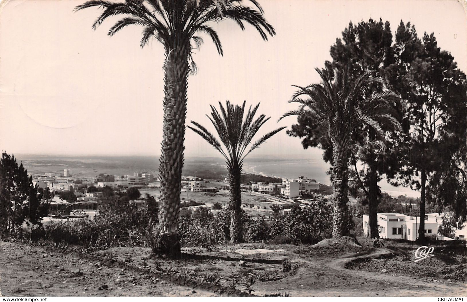 ET-MAROC AGADIR-N°T2920-B/0119 - Agadir