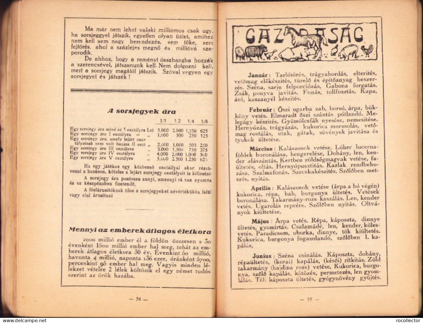 Szerencsés ember magyar naptára az 1934-ik közönséges esztendőre Marosvasarhely 718SPN