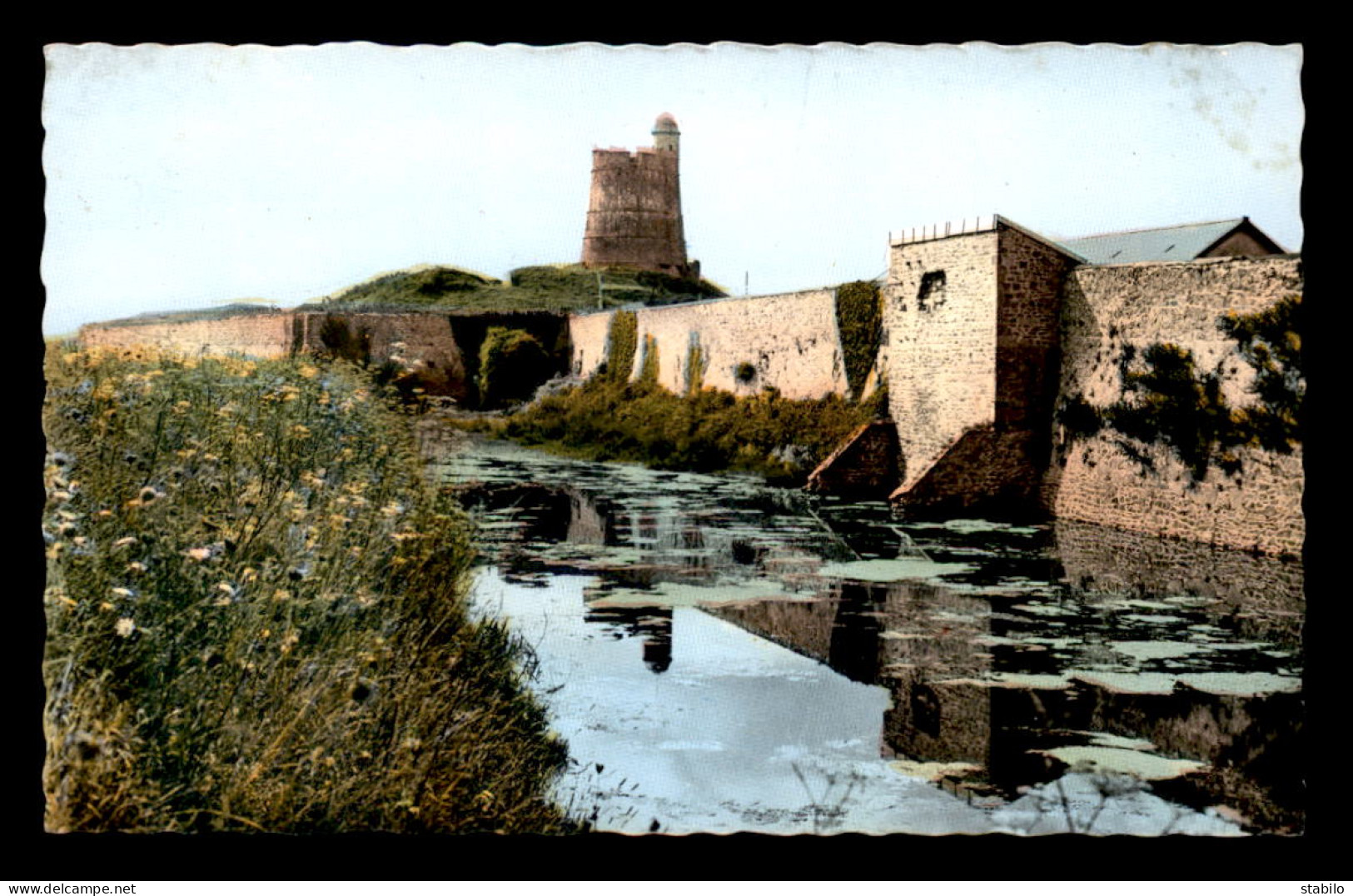 50 - ST-VAAST-LA-HOUGUE - LE FORT DE LA HOUGUE - Saint Vaast La Hougue